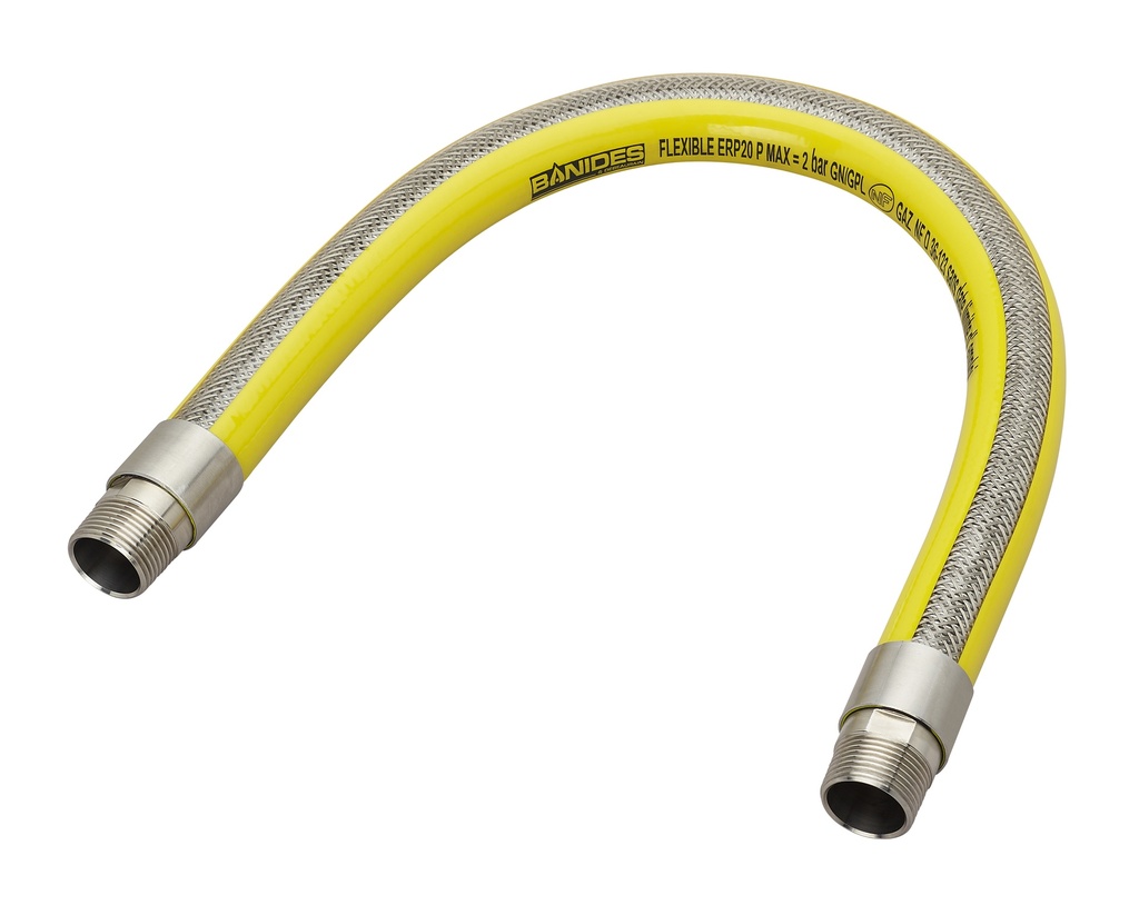 FLEXIBLE INOX ERP M/M 3/4" 2 BAR MAXI + RACCORD 3P 1M NF115 D 36-123
