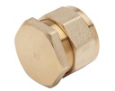 BOUCHON D'EXTREMITE DE TUBE PE DN32 PE40 NF136 8031357 BOU003