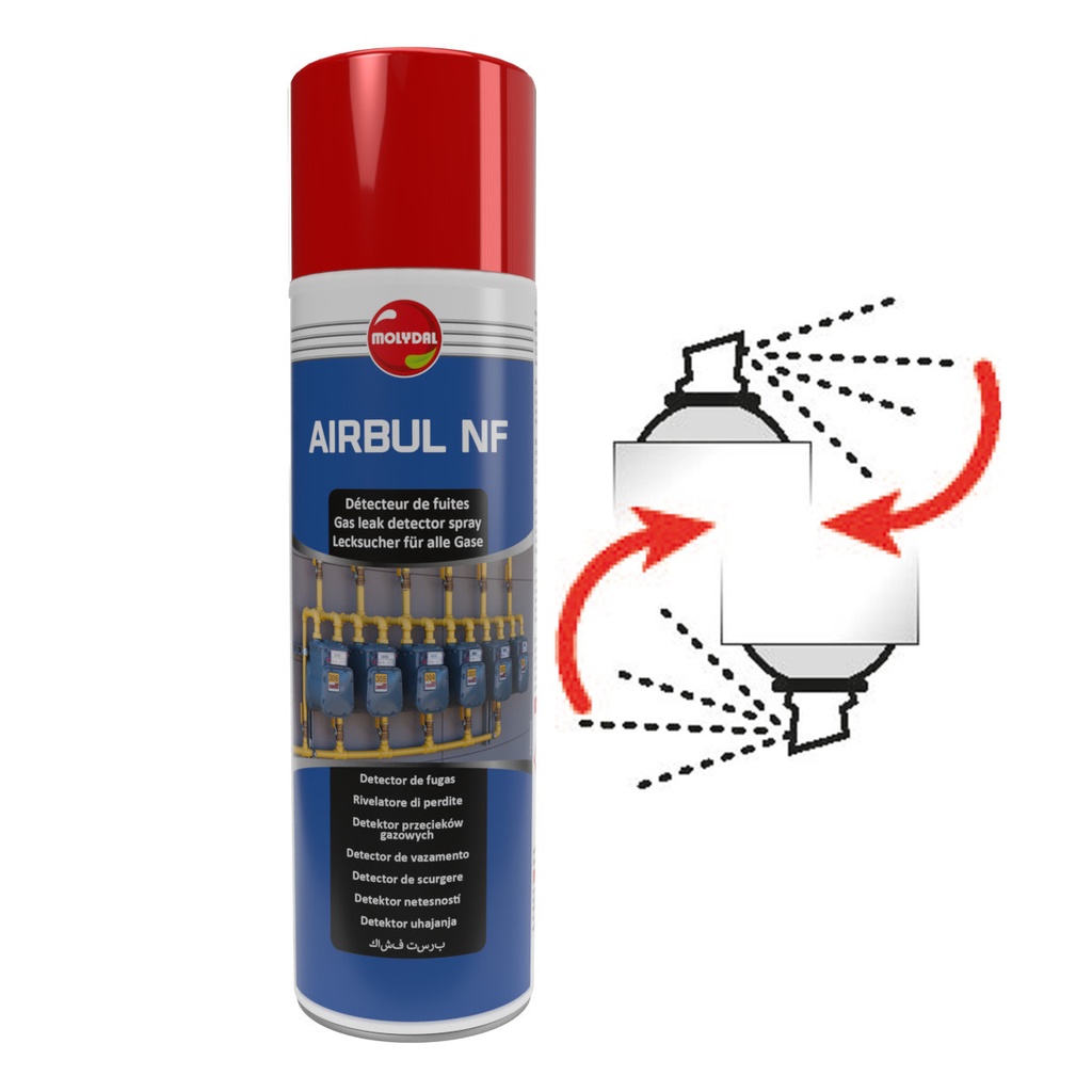 DETECTEUR DE FUITE AEROSOL 650/400ML NF EN 14291 3770351 §